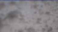 20230502_070001.jpg 