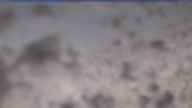 20230502_090002.jpg 