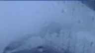 20230506_050002.jpg 
