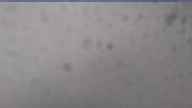 20230508_070002.jpg 
