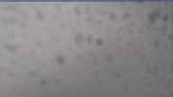 20230508_074002.jpg 