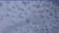 20230514_054002.jpg 