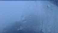 20230522_044001.jpg 