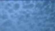 20230523_044002.jpg 