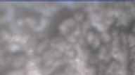 20230524_074001.jpg 