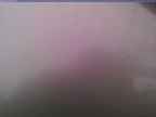 20230604_190002-1.jpg 