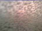 20230605_044001-1.jpg 