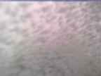 20230605_064001-1.jpg 