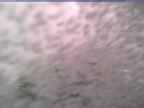 20230605_090002-1.jpg 