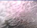 20230605_100002-1.jpg 