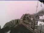 20230605_114002-1.jpg 