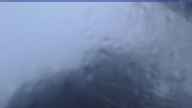 20230607_050002.jpg 
