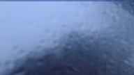 20230611_190002.jpg 