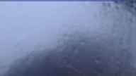 20230615_044002.jpg 