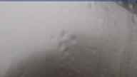 20230627_164002.jpg 