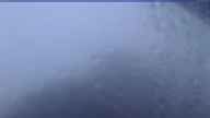 20230628_044002.jpg 
