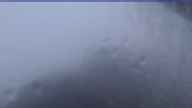 20230629_050002.jpg 