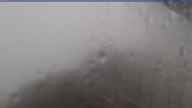 20230629_084002.jpg 