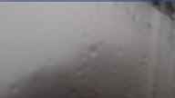 20230629_090002.jpg 
