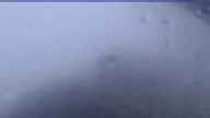 20230629_190002.jpg 