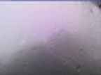 20230710_072002-1.jpg 