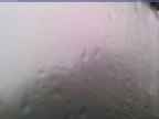 20230711_060002-1.jpg 