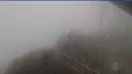 20230715_064002.jpg 