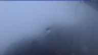 20230719_050002.jpg 