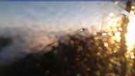 20230720_050001.jpg 