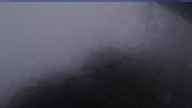 20230810_044002.jpg 