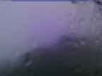 20230815_184001-1.jpg 