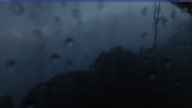 20231002_052002.jpg 