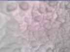 20231005_144001-1.jpg 