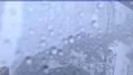 20231010_064002.jpg 