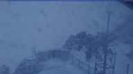 20231015_054002.jpg 