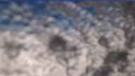 20231022_140002.jpg 