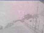 20231110_100002-1.jpg 