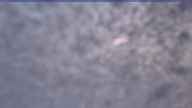 20231111_060002.jpg 