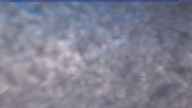 20231111_084002.jpg 