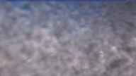 20231111_090002.jpg 
