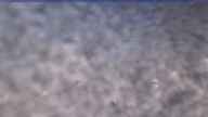 20231111_092002.jpg 