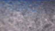 20231111_094002.jpg 