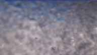 20231111_100002.jpg 