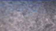 20231111_102002.jpg 