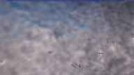 20231111_110002.jpg 
