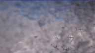20231111_120002.jpg 