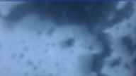 20231120_064002.jpg 