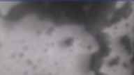 20231120_074002.jpg 