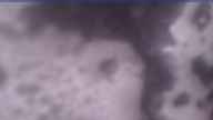20231120_170002.jpg 