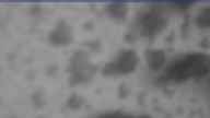 20231124_074002.jpg 